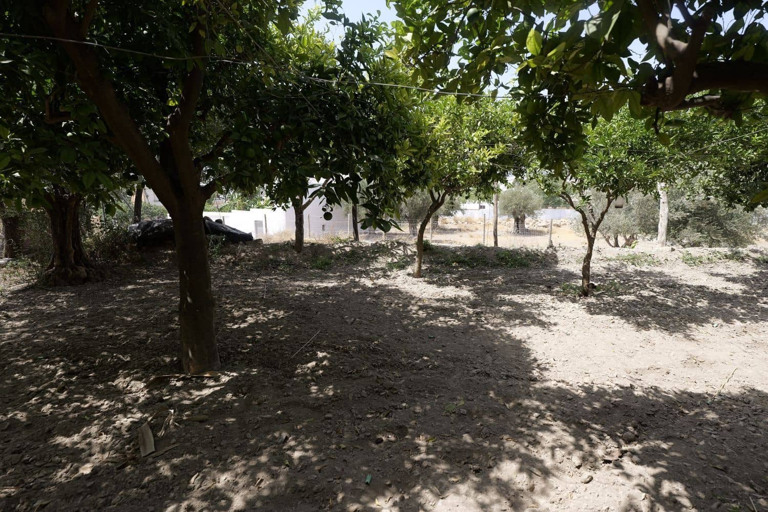 1 soveværelse Finca/Landehus til salg i Berja med garage - € 43.000 (Ref: 8488609)