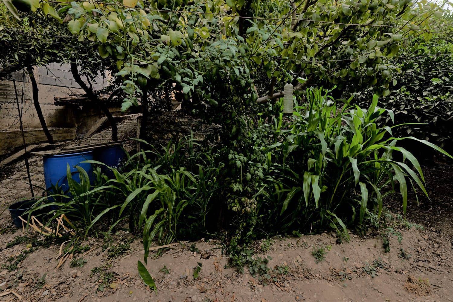 1 soveværelse Finca/Landehus til salg i Berja med garage - € 43.000 (Ref: 8488609)