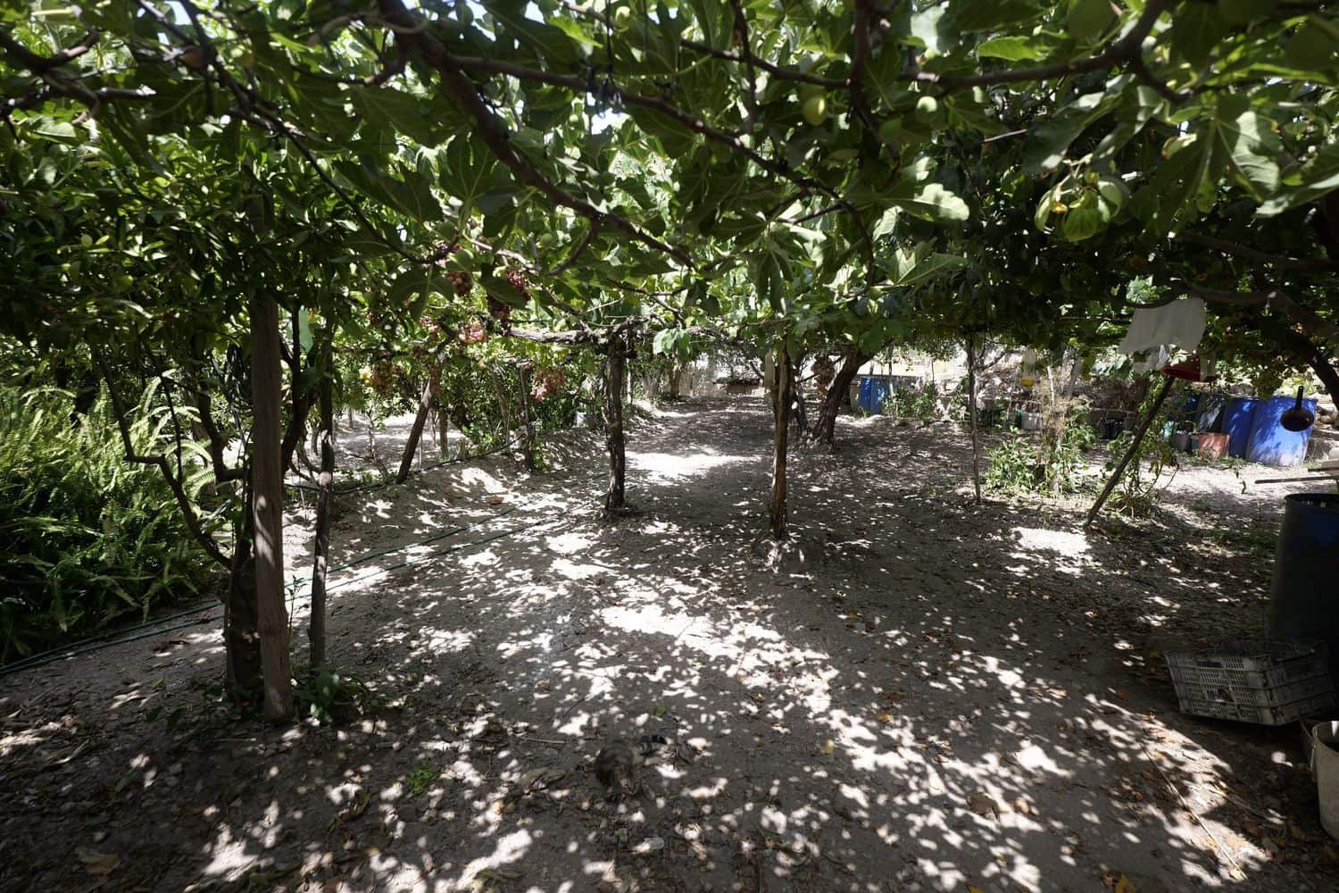 1 soveværelse Finca/Landehus til salg i Berja med garage - € 43.000 (Ref: 8488609)