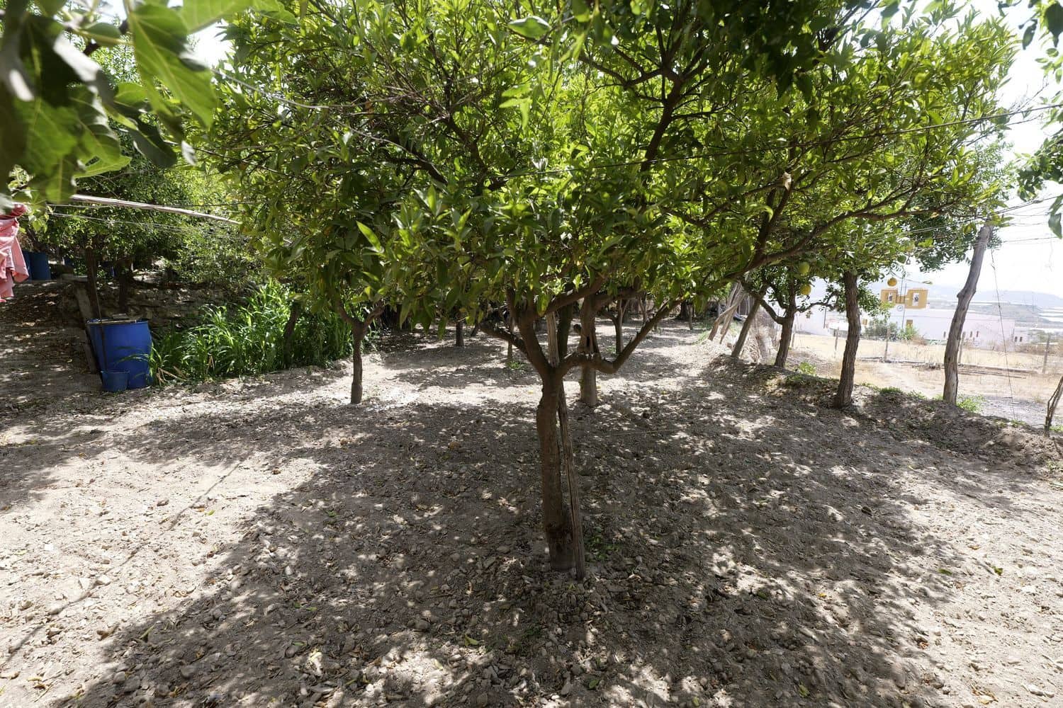 1 soveværelse Finca/Landehus til salg i Berja med garage - € 43.000 (Ref: 8488609)