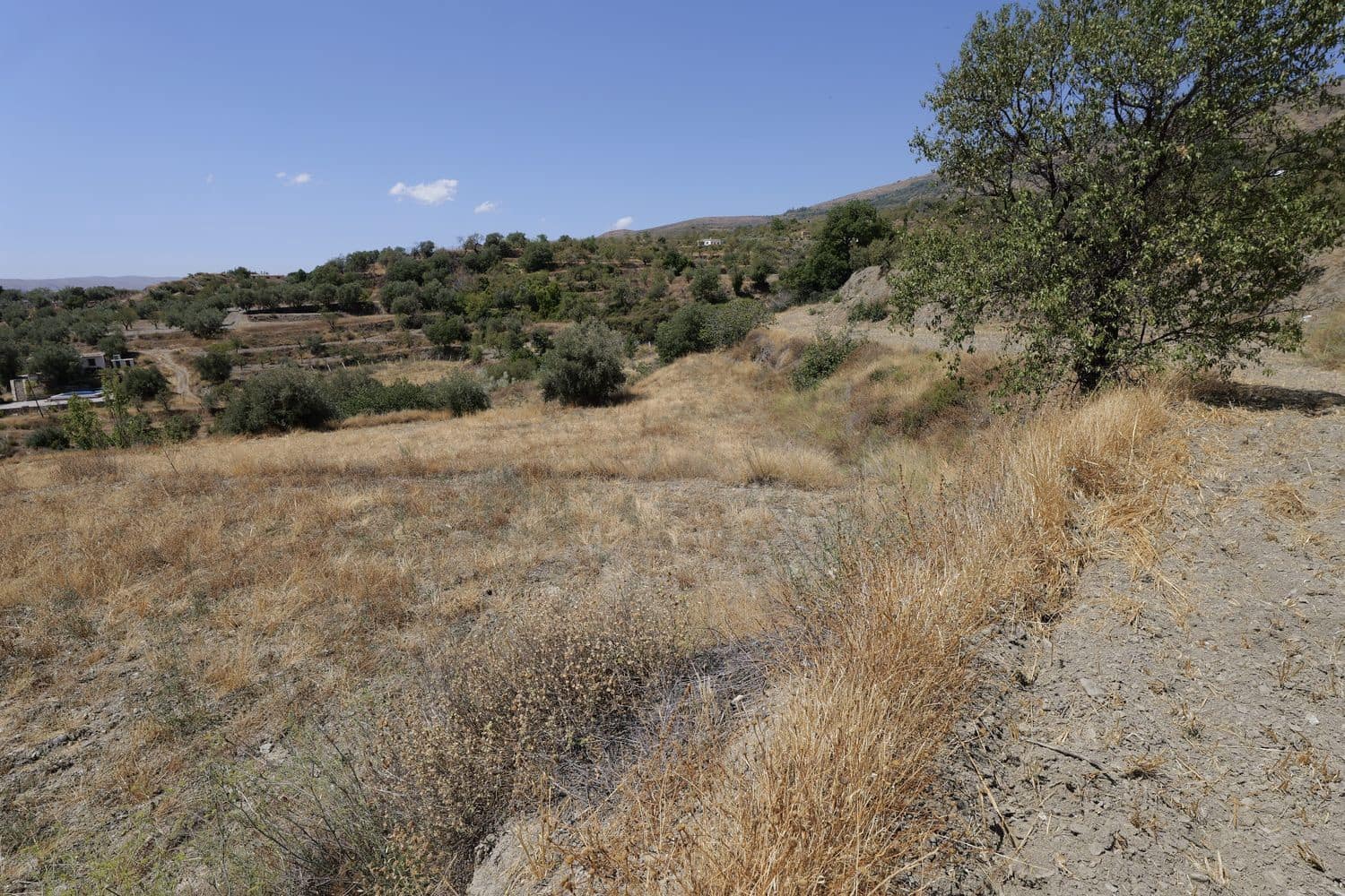 Grunde uden byggetilladelser til salg i Valor - € 29.000 (Ref: 8509976)