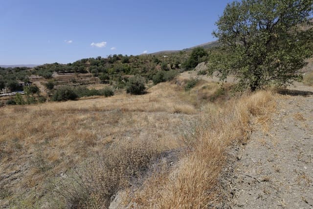 Grunde uden byggetilladelser til salg i Válor - € 29.000 (Ref: 8509976)