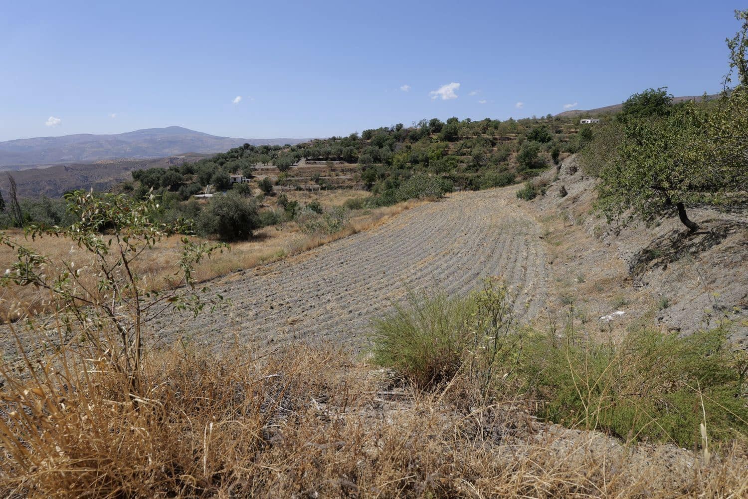 Grunde uden byggetilladelser til salg i Valor - € 29.000 (Ref: 8509976)