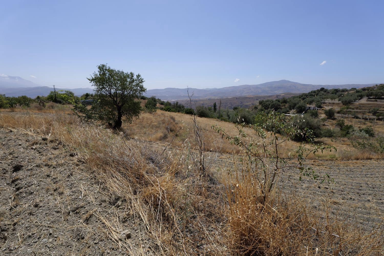 Grunde uden byggetilladelser til salg i Valor - € 29.000 (Ref: 8509976)