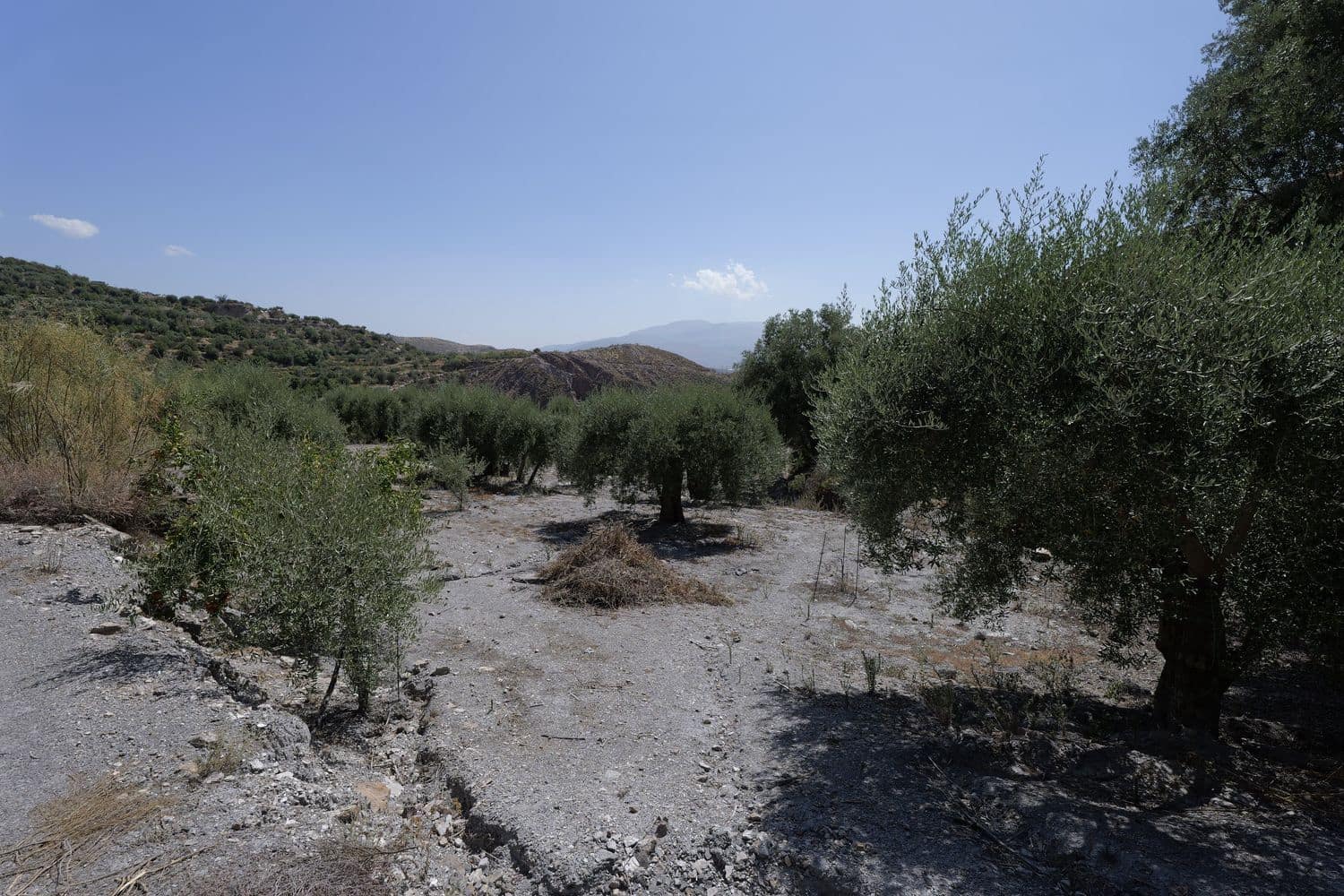 Grunde uden byggetilladelser til salg i Valor - € 17.500 (Ref: 8509977)