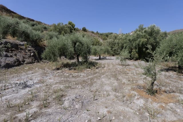 Grunde uden byggetilladelser til salg i Válor - € 17.500 (Ref: 8509977)