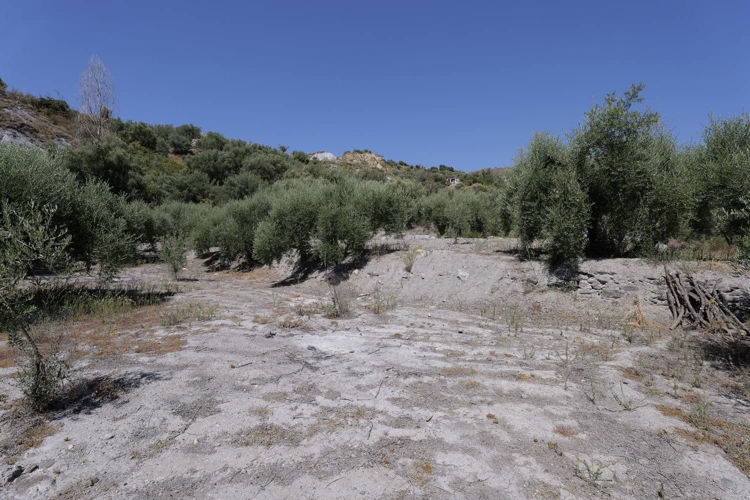 Grunde uden byggetilladelser til salg i Valor - € 17.500 (Ref: 8509977)