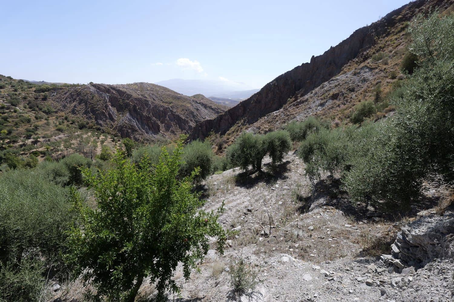 Grunde uden byggetilladelser til salg i Valor - € 17.500 (Ref: 8509977)