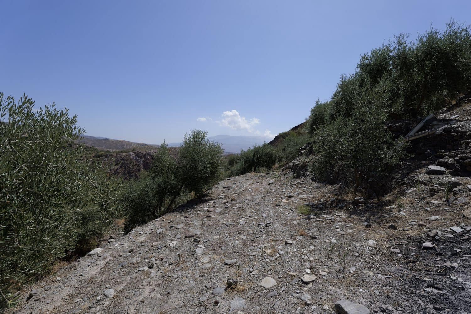 Grunde uden byggetilladelser til salg i Valor - € 17.500 (Ref: 8509977)