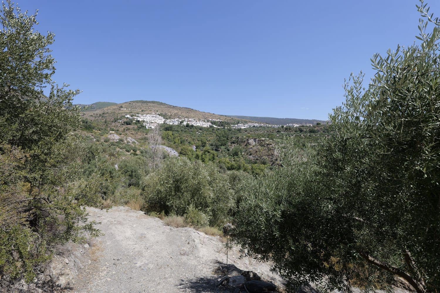 Grunde uden byggetilladelser til salg i Valor - € 17.500 (Ref: 8509977)