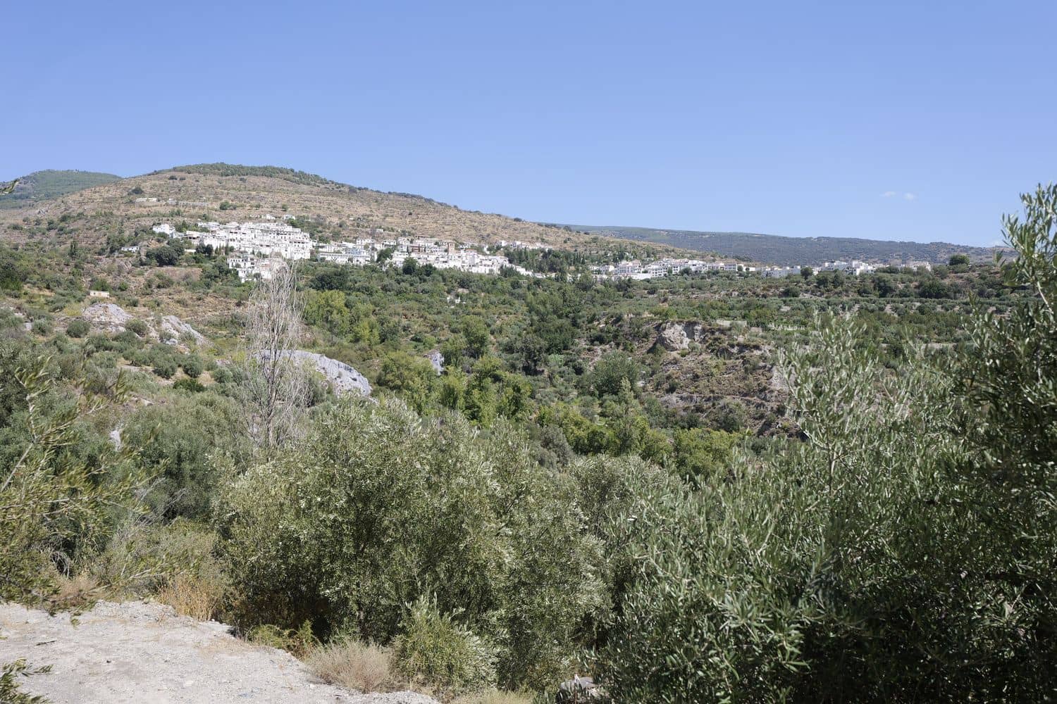 Grunde uden byggetilladelser til salg i Valor - € 17.500 (Ref: 8509977)