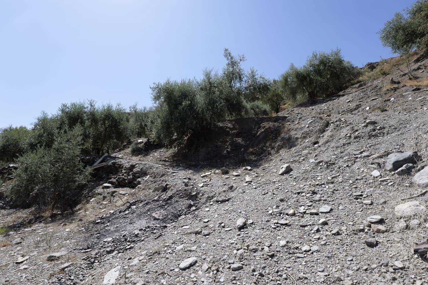 Grunde uden byggetilladelser til salg i Valor - € 17.500 (Ref: 8509977)