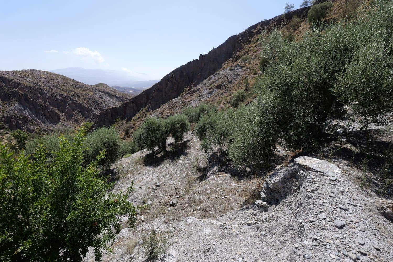 Grunde uden byggetilladelser til salg i Valor - € 17.500 (Ref: 8509977)