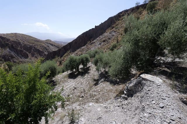 Grunde uden byggetilladelser til salg i Válor - € 17.500 (Ref: 8509977)