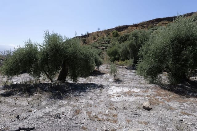 Grunde uden byggetilladelser til salg i Válor - € 17.500 (Ref: 8509977)