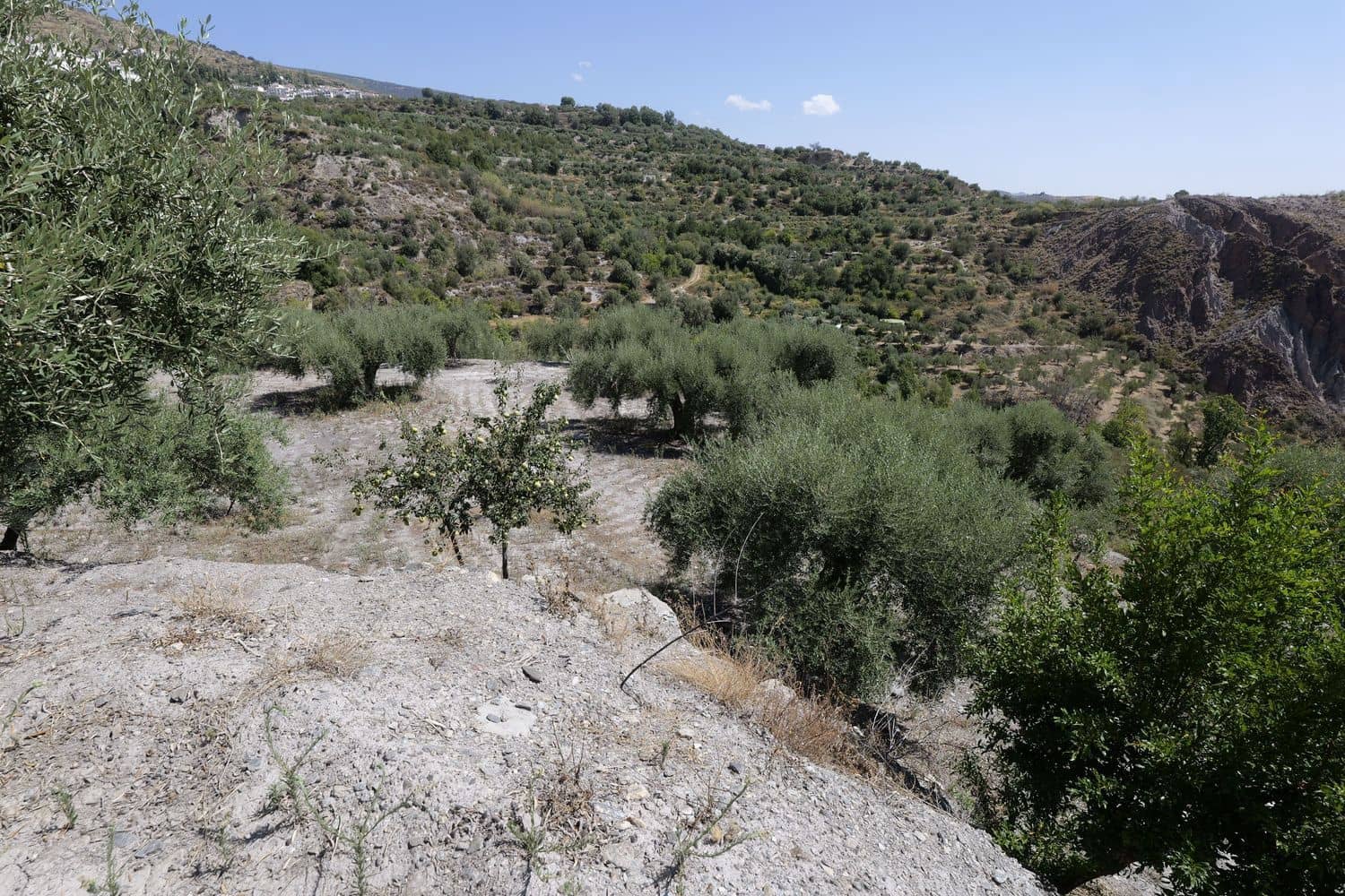 Grunde uden byggetilladelser til salg i Valor - € 17.500 (Ref: 8509977)