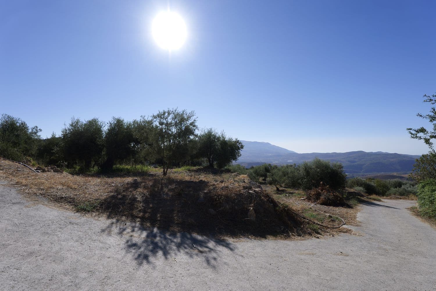 Grunde uden byggetilladelser til salg i Nevada - € 25.000 (Ref: 8514203)