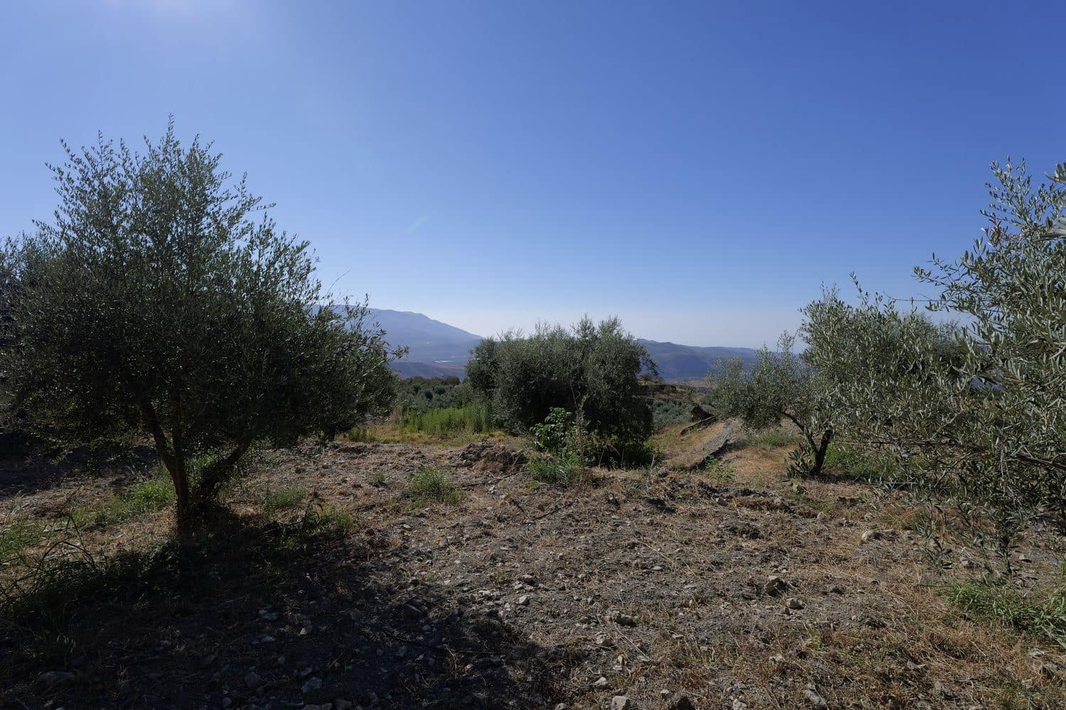 Grunde uden byggetilladelser til salg i Nevada - € 25.000 (Ref: 8514203)