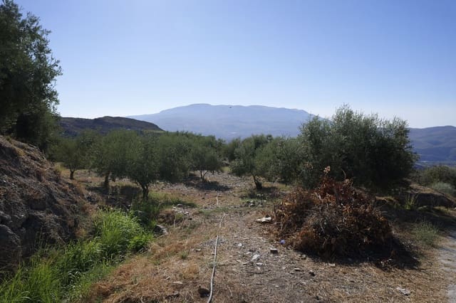 Grunde uden byggetilladelser til salg i Nevada - € 25.000 (Ref: 8514203)