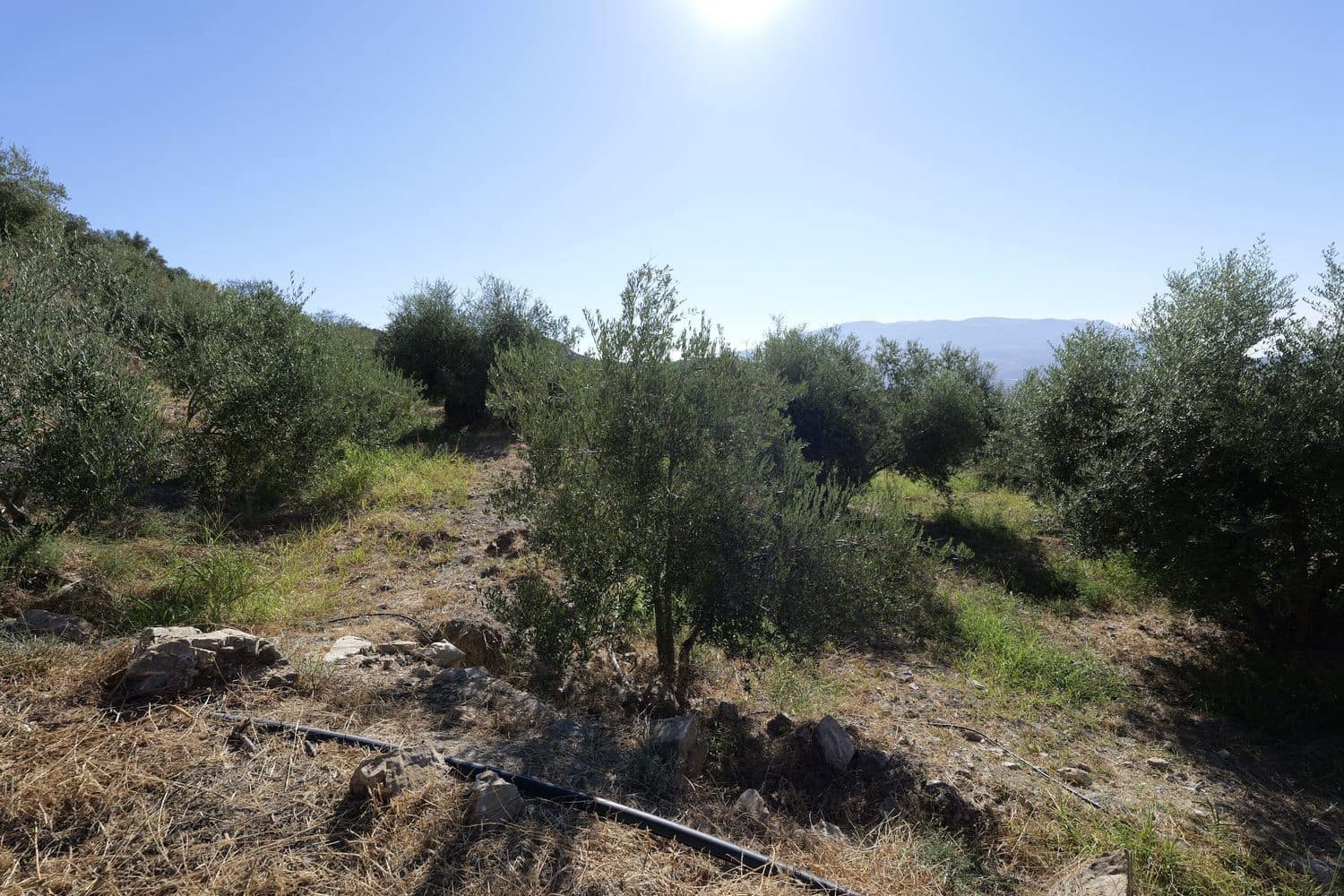 Grunde uden byggetilladelser til salg i Nevada - € 25.000 (Ref: 8514203)