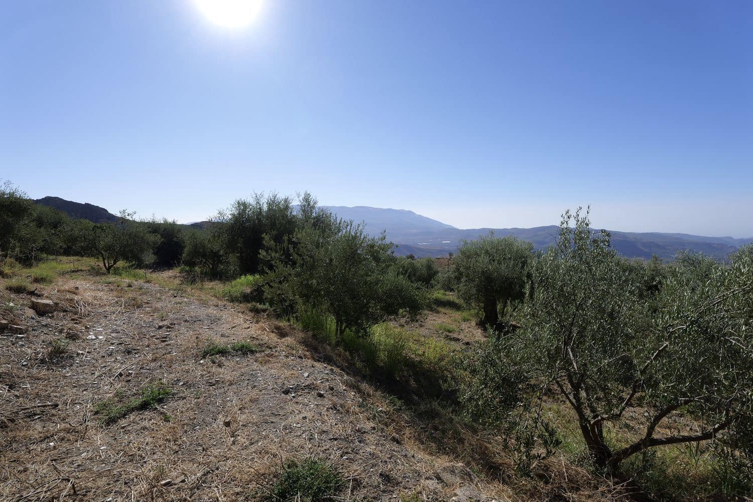 Grunde uden byggetilladelser til salg i Nevada - € 25.000 (Ref: 8514203)