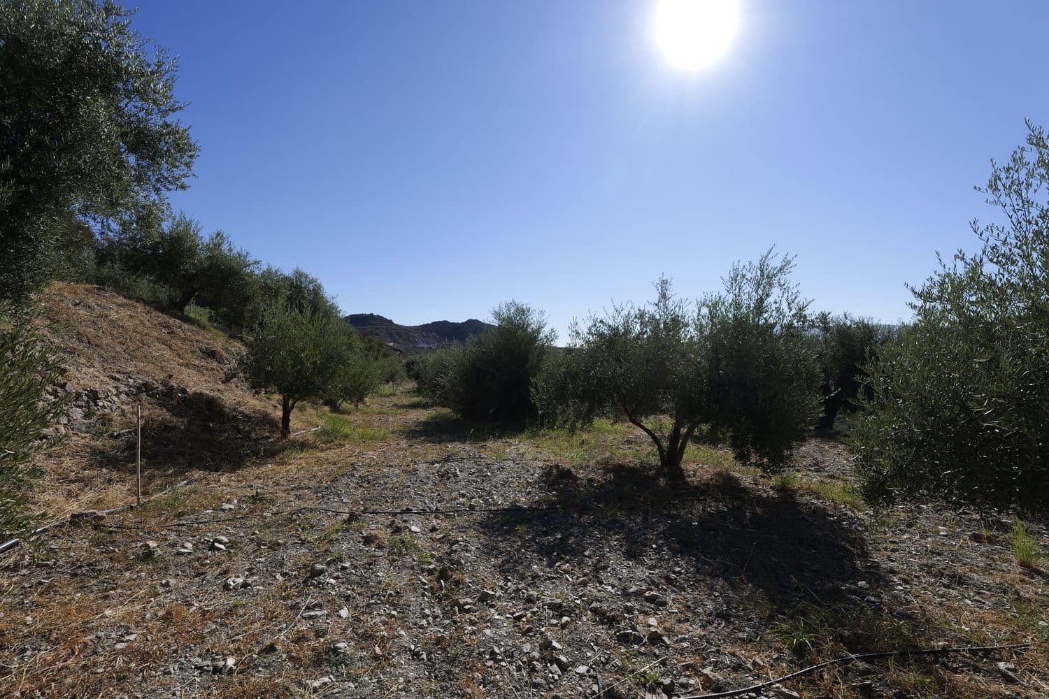 Grunde uden byggetilladelser til salg i Nevada - € 25.000 (Ref: 8514203)