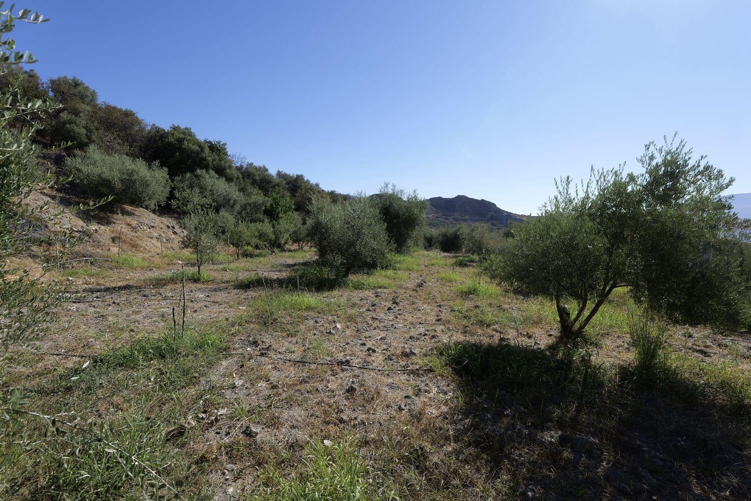 Grunde uden byggetilladelser til salg i Nevada - € 25.000 (Ref: 8514203)