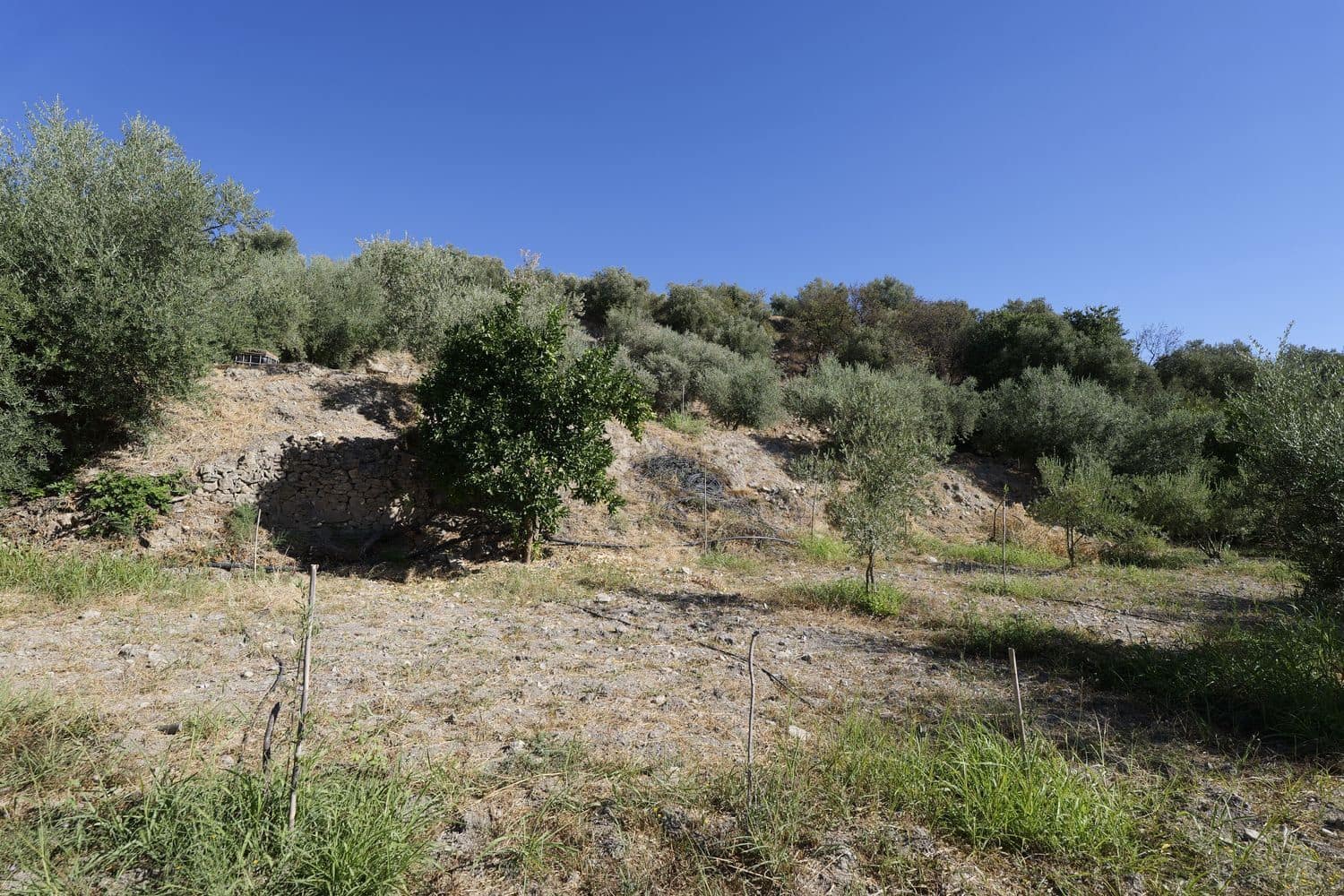 Grunde uden byggetilladelser til salg i Nevada - € 25.000 (Ref: 8514203)