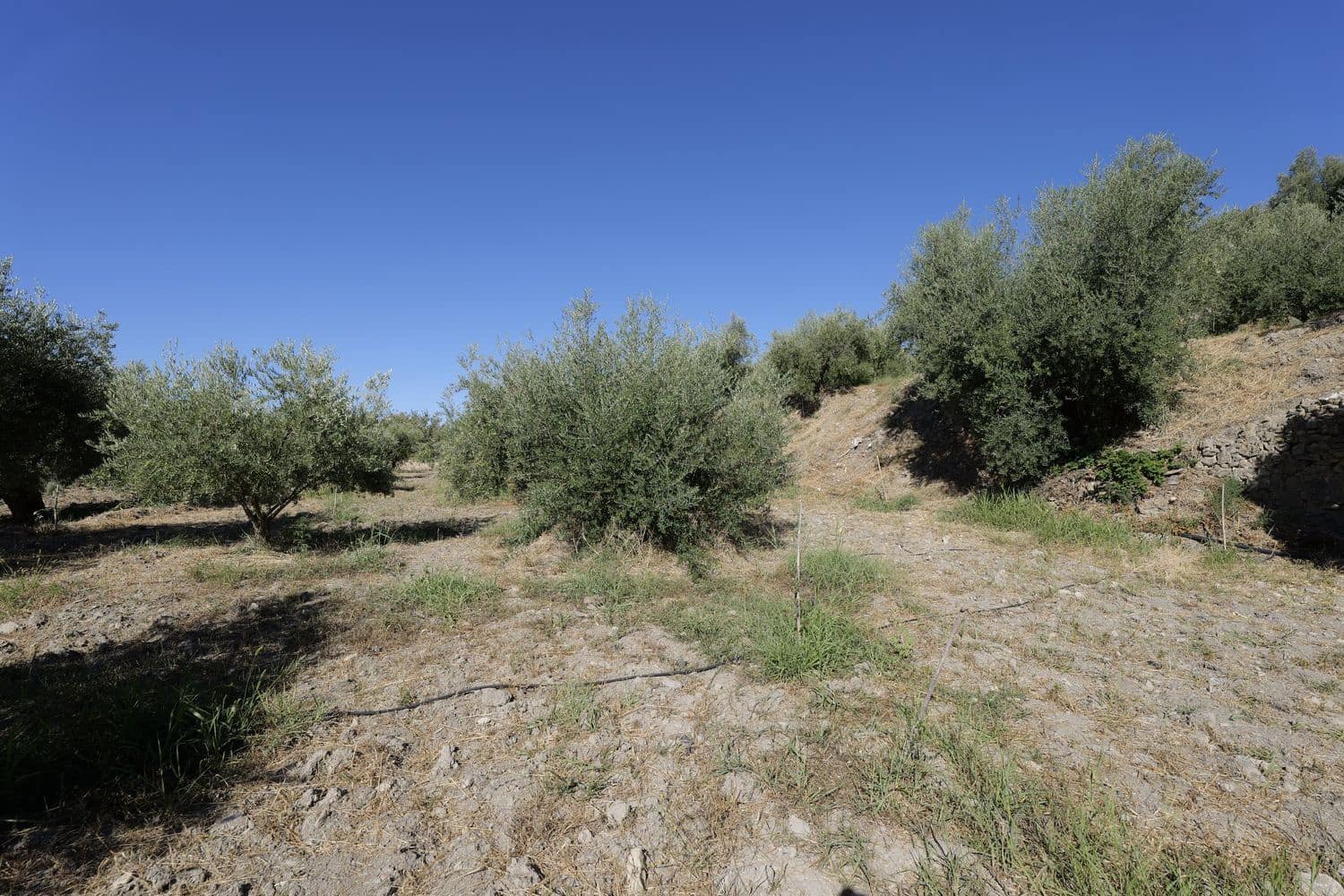 Grunde uden byggetilladelser til salg i Nevada - € 25.000 (Ref: 8514203)