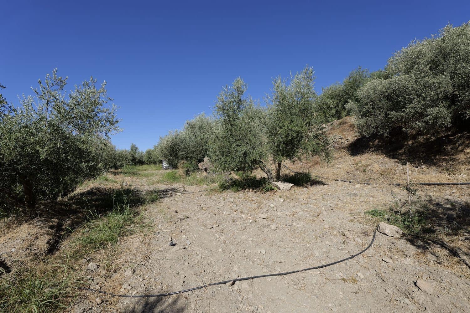 Grunde uden byggetilladelser til salg i Nevada - € 25.000 (Ref: 8514203)