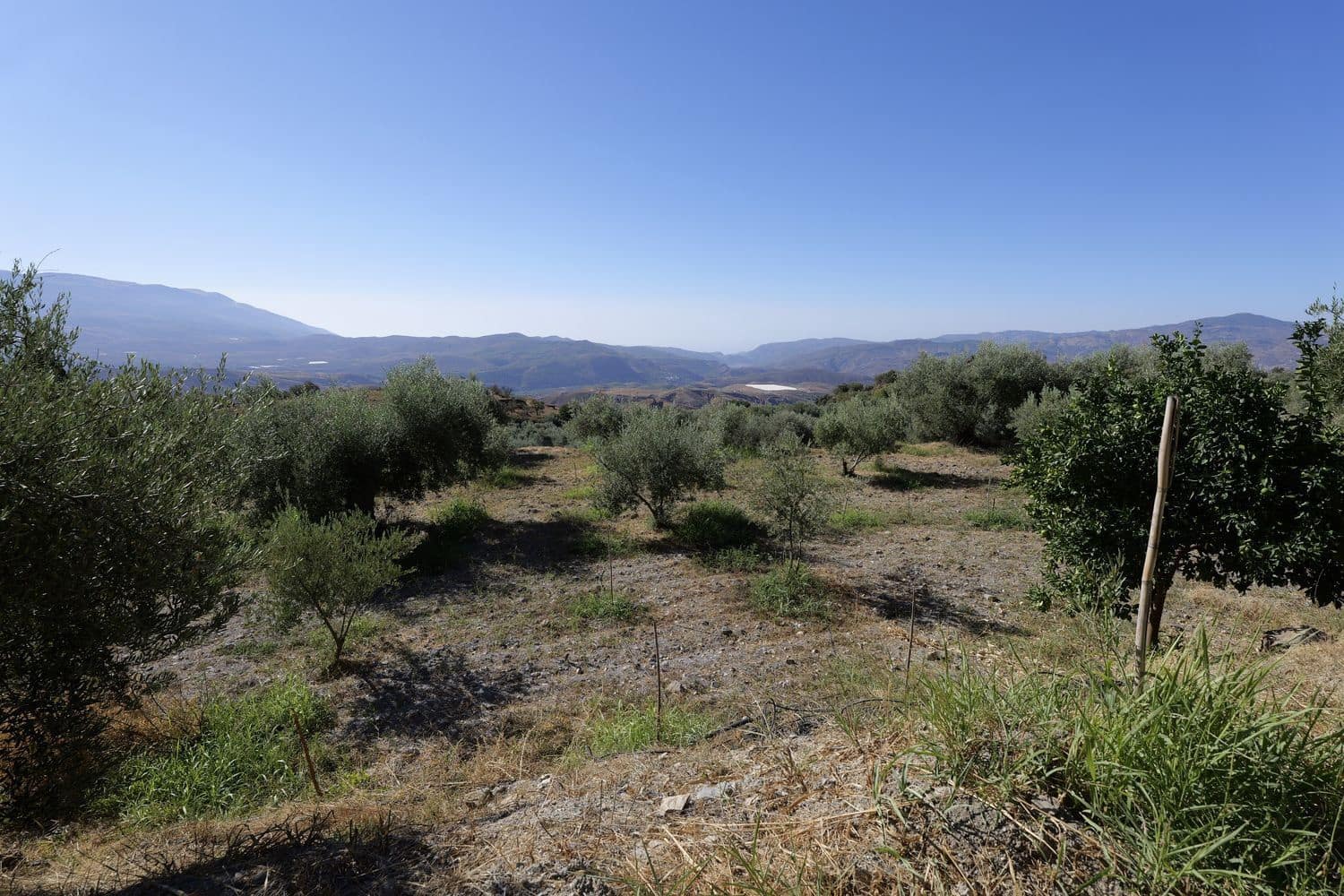 Grunde uden byggetilladelser til salg i Nevada - € 25.000 (Ref: 8514203)