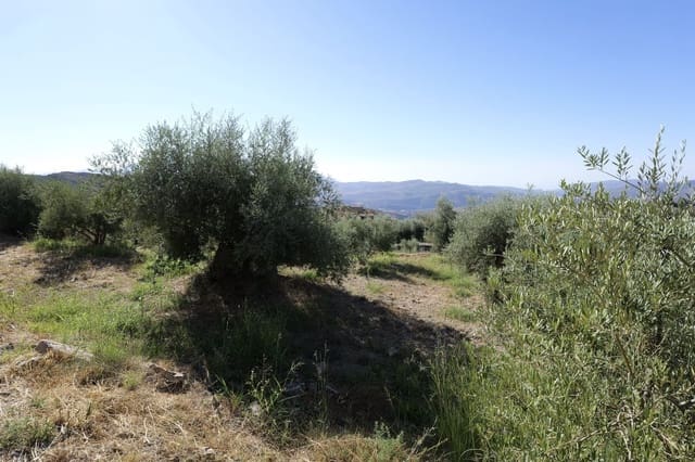 Grunde uden byggetilladelser til salg i Nevada - € 25.000 (Ref: 8514203)