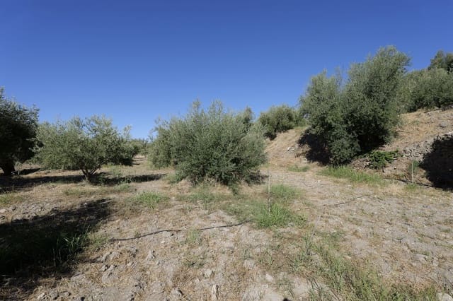 Grunde uden byggetilladelser til salg i Nevada - € 25.000 (Ref: 8514203)