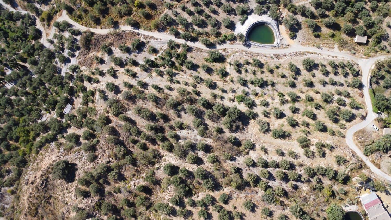 Grunde uden byggetilladelser til salg i Nevada - € 25.000 (Ref: 8514203)