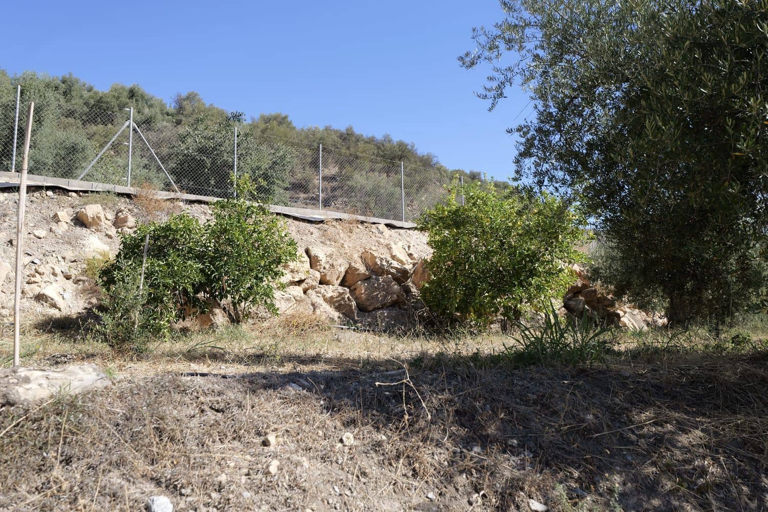 Grunde uden byggetilladelser til salg i Nevada - € 35.000 (Ref: 8514204)