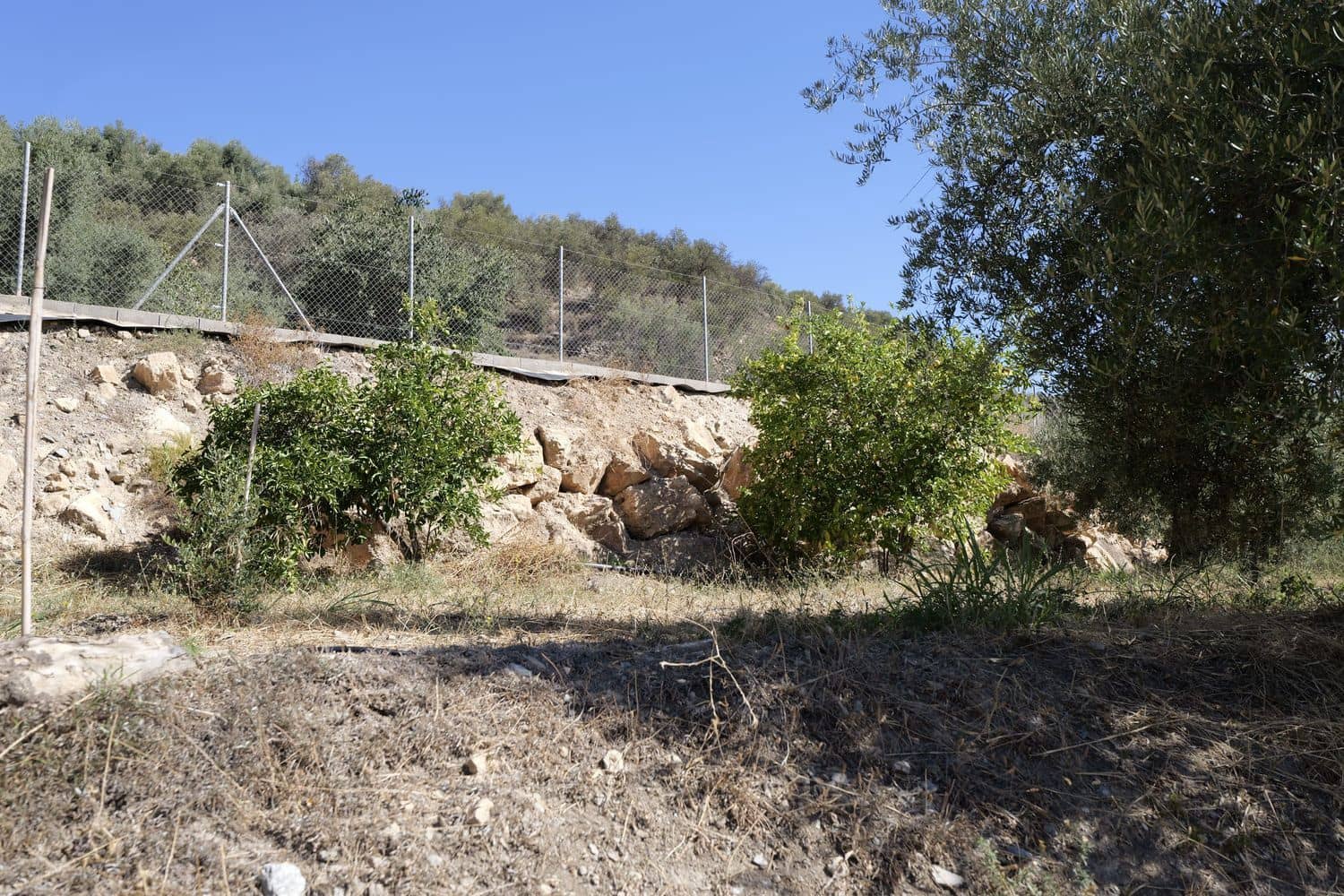 Grunde uden byggetilladelser til salg i Nevada - € 35.000 (Ref: 8514204)