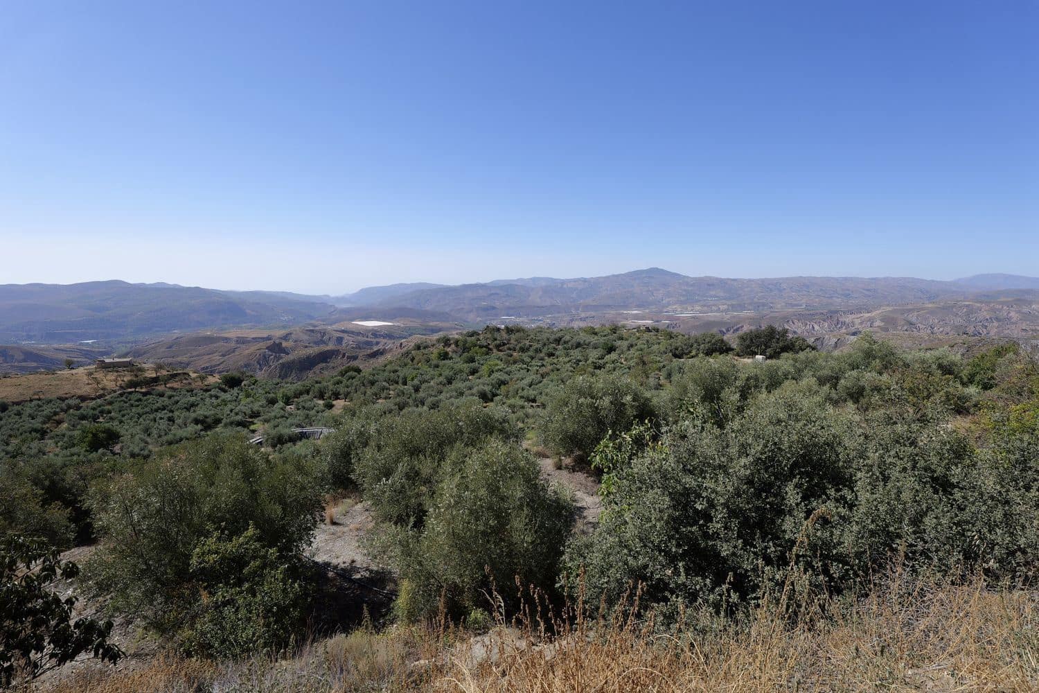 Grunde uden byggetilladelser til salg i Nevada - € 35.000 (Ref: 8514204)