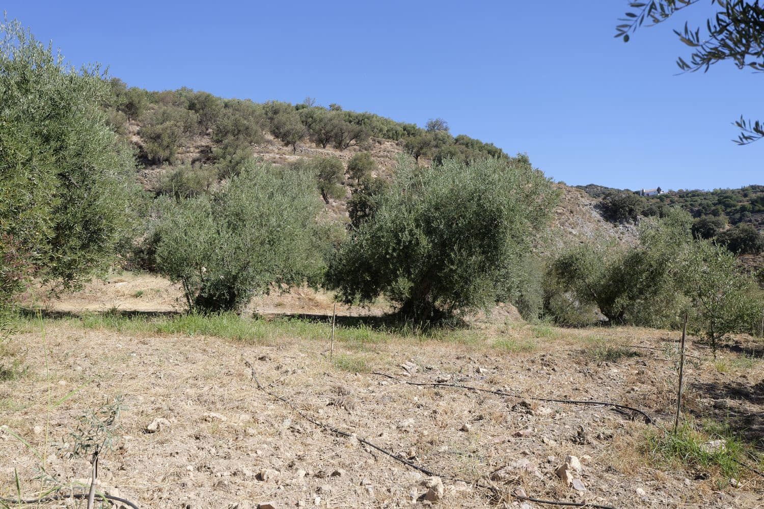 Grunde uden byggetilladelser til salg i Nevada - € 35.000 (Ref: 8514204)