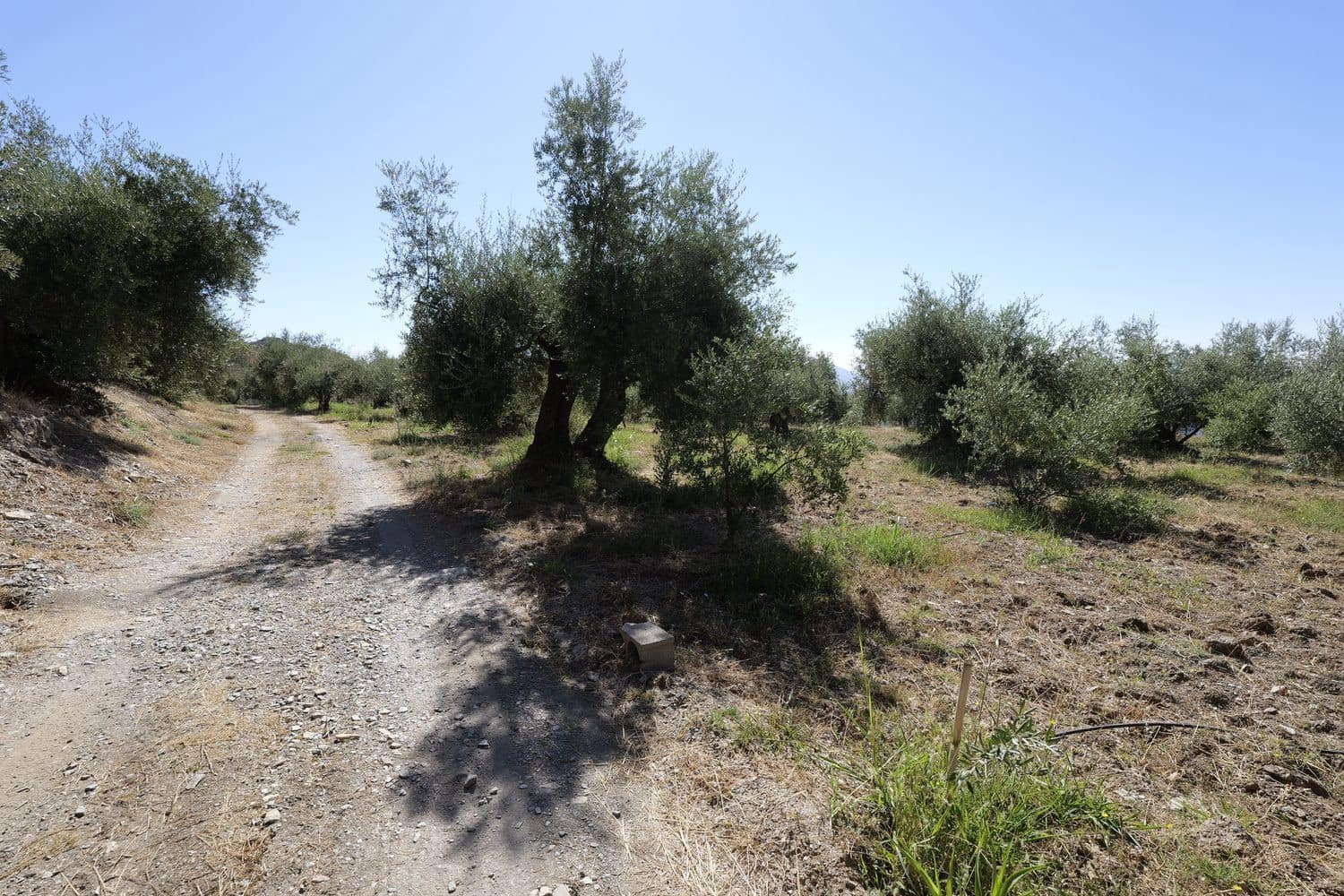 Grunde uden byggetilladelser til salg i Nevada - € 35.000 (Ref: 8514204)