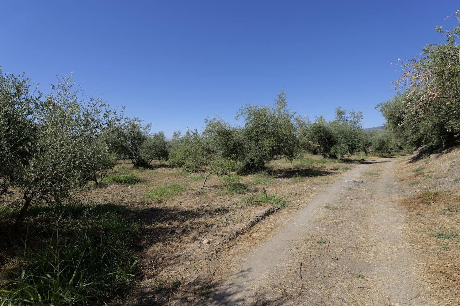 Grunde uden byggetilladelser til salg i Nevada - € 35.000 (Ref: 8514204)