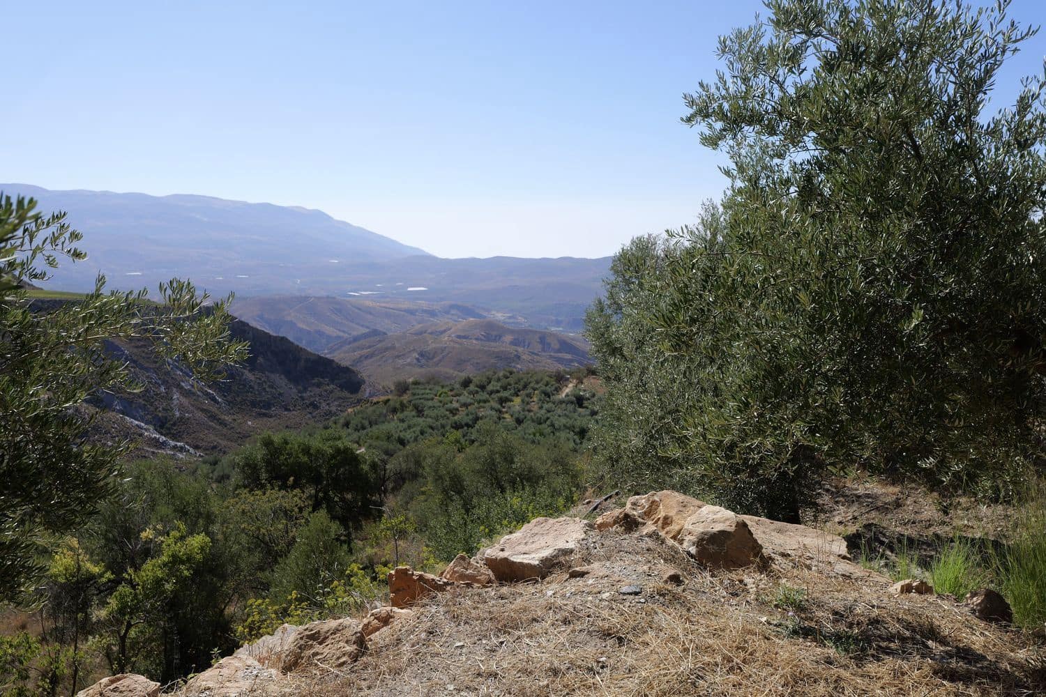 Grunde uden byggetilladelser til salg i Nevada - € 35.000 (Ref: 8514204)