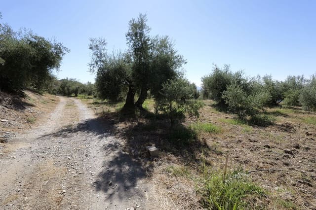 Grunde uden byggetilladelser til salg i Nevada - € 35.000 (Ref: 8514204)