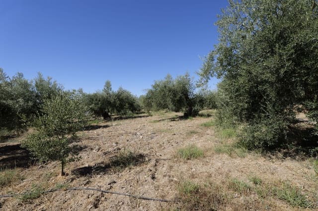 Grunde uden byggetilladelser til salg i Nevada - € 35.000 (Ref: 8514204)