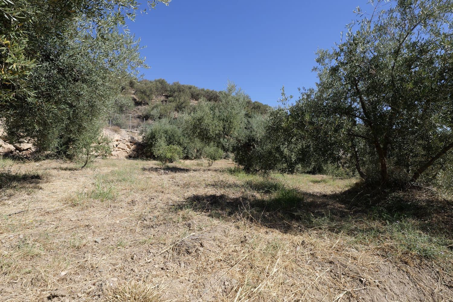 Grunde uden byggetilladelser til salg i Nevada - € 35.000 (Ref: 8514204)