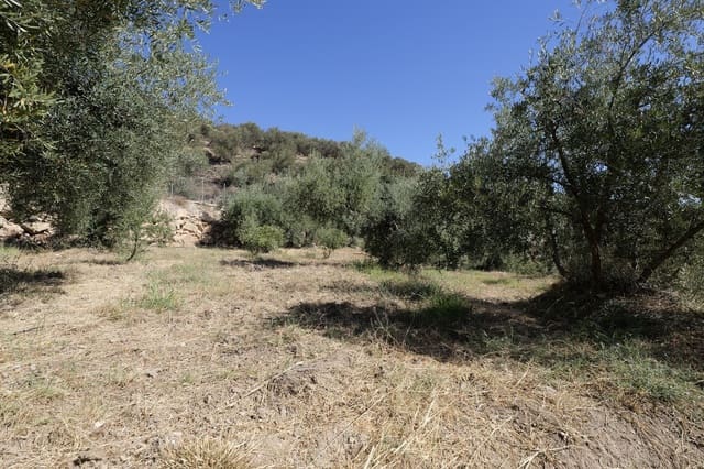 Grunde uden byggetilladelser til salg i Nevada - € 35.000 (Ref: 8514204)