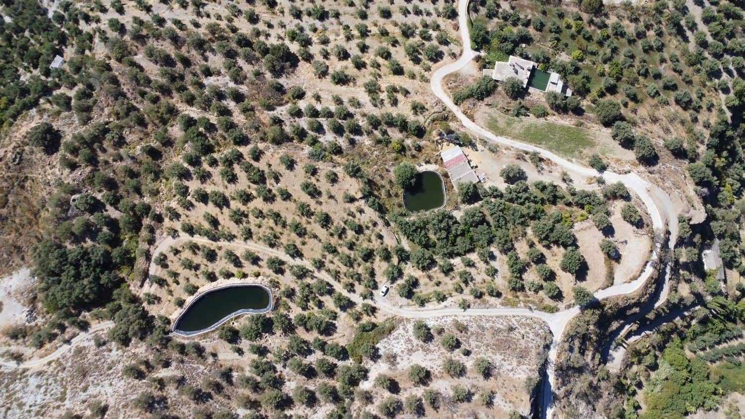 Grunde uden byggetilladelser til salg i Nevada - € 35.000 (Ref: 8514204)