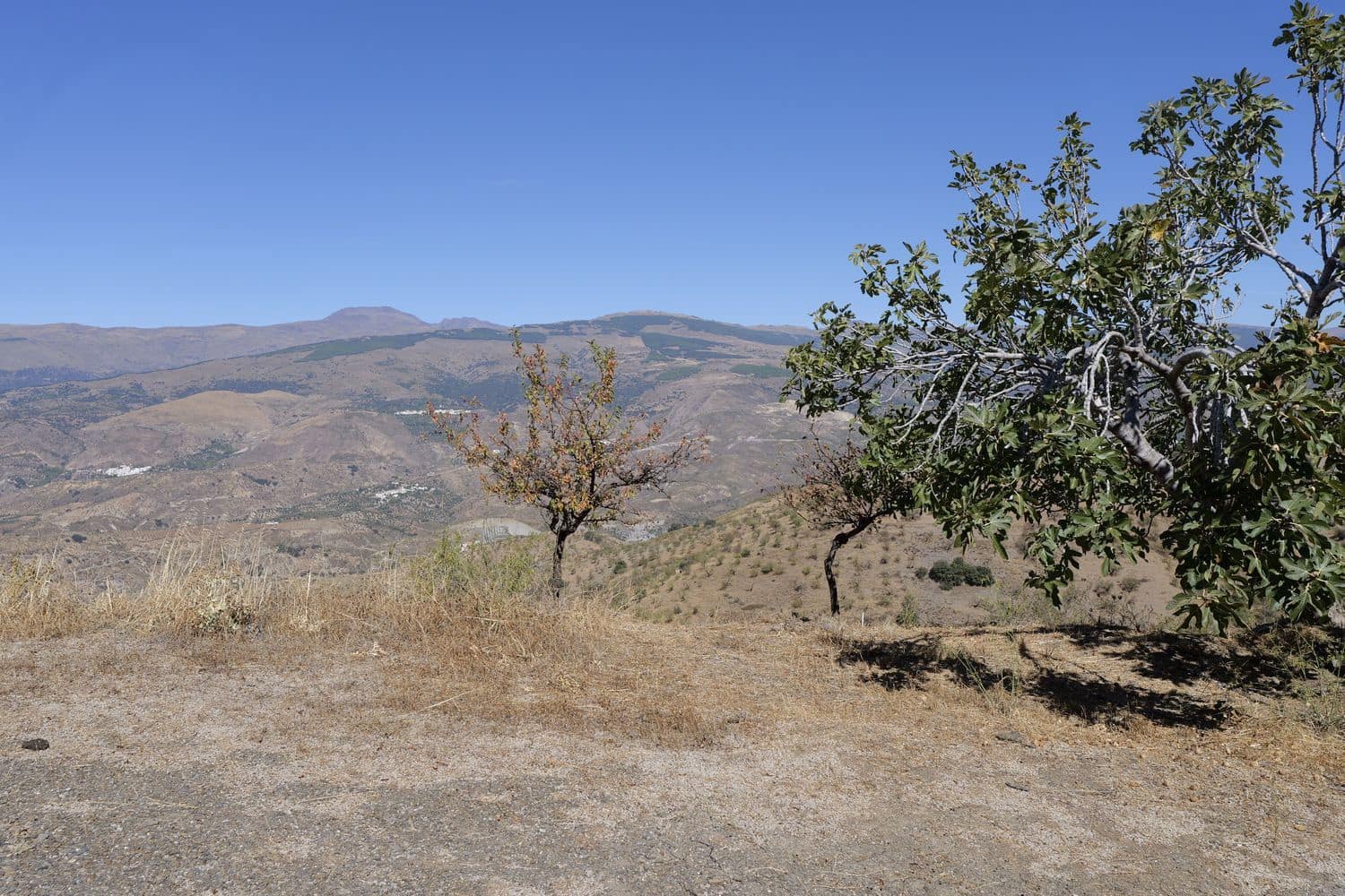 1 soveværelse Finca/Landehus til salg i Cadiar med garage - € 55.000 (Ref: 8553801)