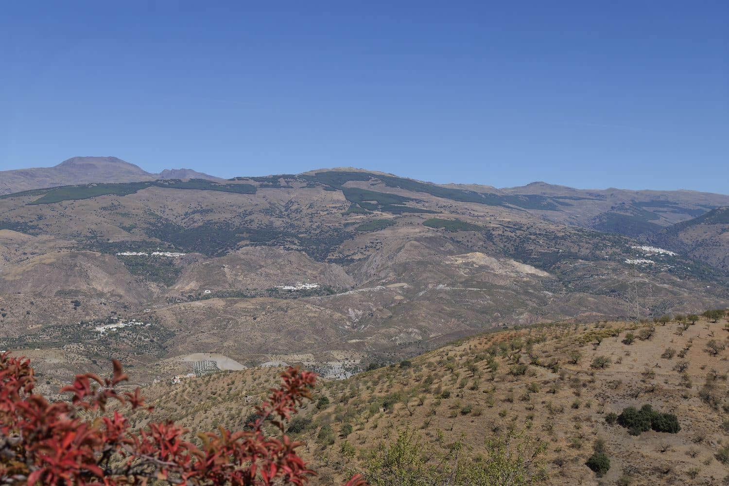 1 soveværelse Finca/Landehus til salg i Cadiar med garage - € 55.000 (Ref: 8553801)