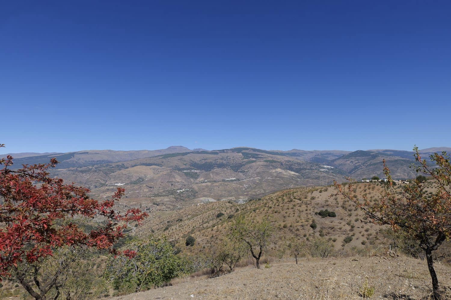 1 soveværelse Finca/Landehus til salg i Cadiar med garage - € 55.000 (Ref: 8553801)