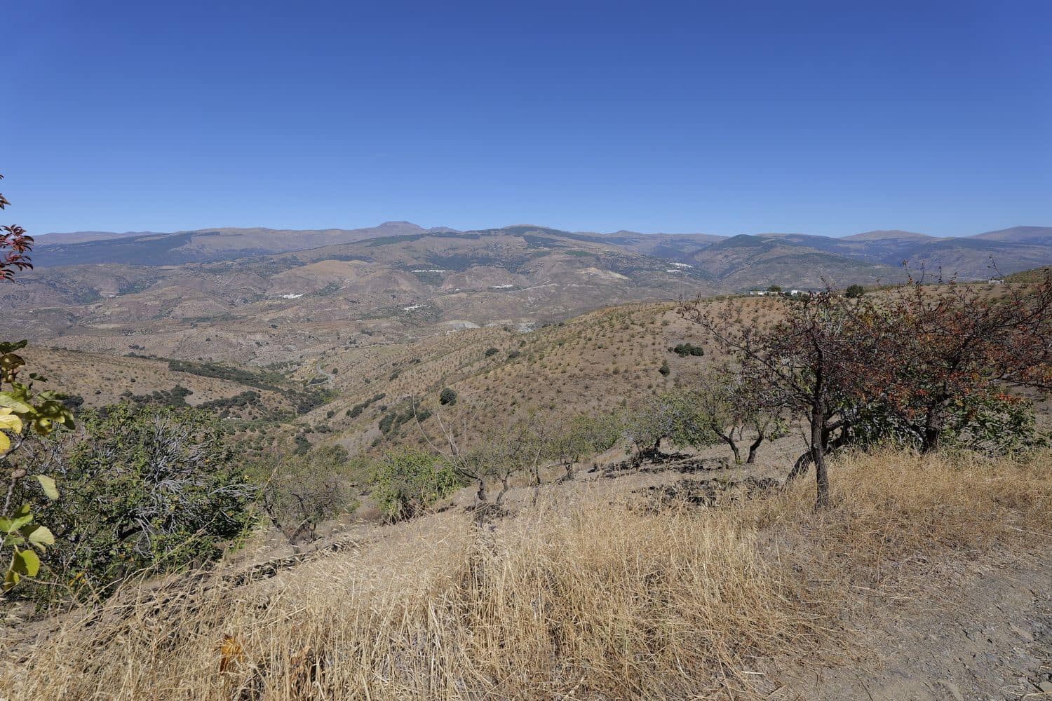 1 soveværelse Finca/Landehus til salg i Cadiar med garage - € 55.000 (Ref: 8553801)